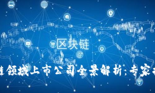 2023年区块链领域上市公司全景解析：专家揭秘独家秘诀！