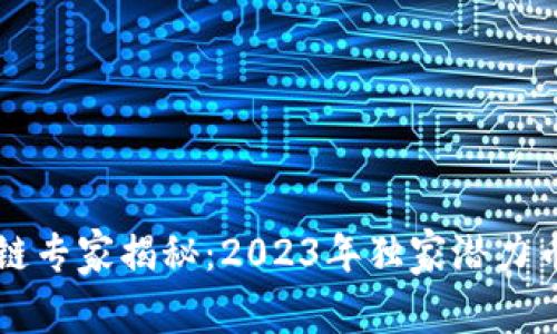 区块链专家揭秘：2023年独家潜力币秘诀
