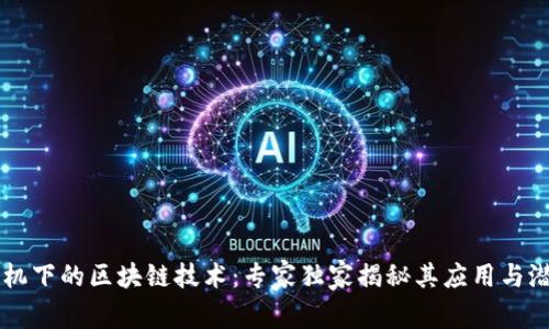 危机下的区块链技术：专家独家揭秘其应用与潜力