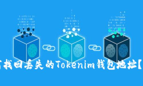 专家揭秘：如何找回丢失的Tokenim钱包地址？独家秘诀分享！