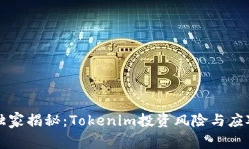 专家独家揭秘：Tokenim投资风险与应对秘诀