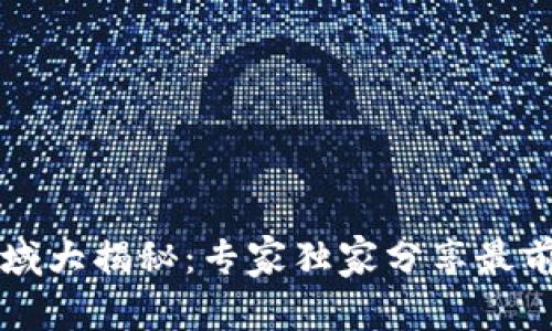 区块链应用领域大揭秘：专家独家分享最前沿的应用秘诀