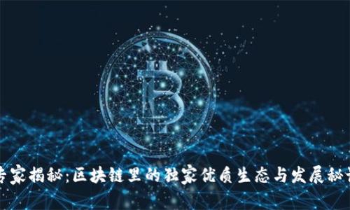 专家揭秘：区块链里的独家优质生态与发展秘诀