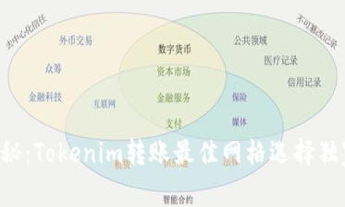 专家揭秘：Tokenim转账最佳网格选择独家秘诀！