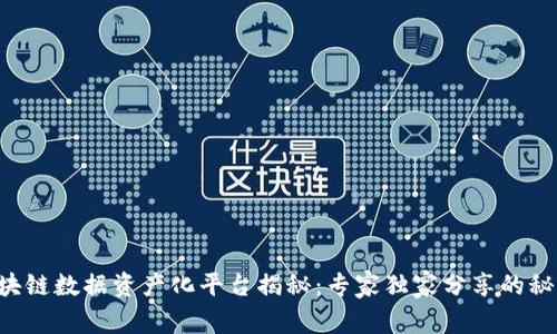 区块链数据资产化平台揭秘：专家独家分享的秘诀！