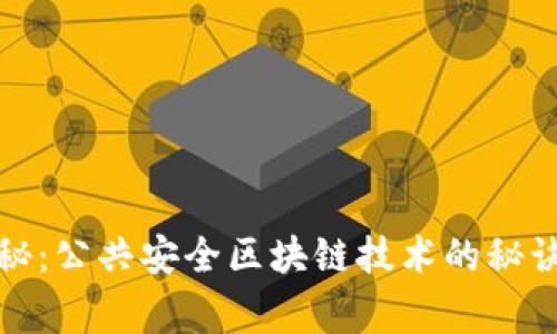 《专家独家揭秘：公共安全区块链技术的秘诀与应用前景》