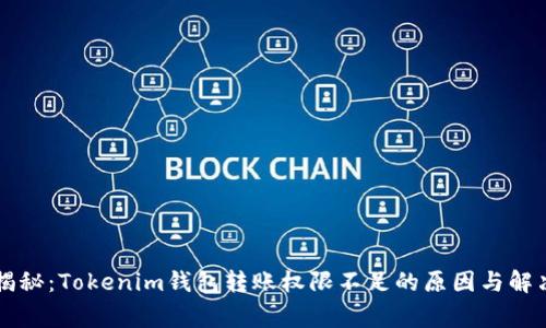 专家揭秘：Tokenim钱包转账权限不足的原因与解决秘诀