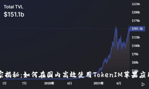 专家独家揭秘：如何在国内高效使用TokenIM苹果应用的秘诀