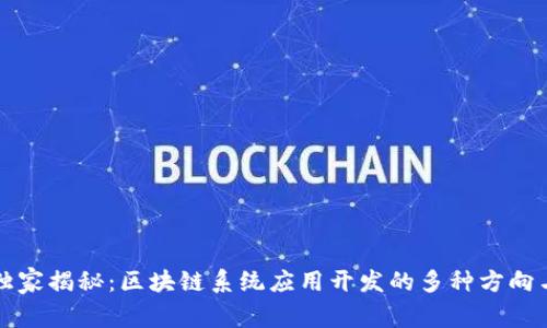 专家独家揭秘：区块链系统应用开发的多种方向与秘诀