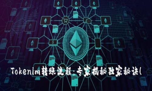 Tokenim转账流程：专家揭秘独家秘诀！