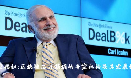 独家揭秘：区块链芯片领域的专家机构及其发展秘诀