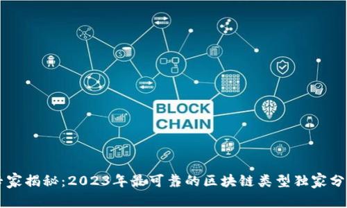 专家揭秘：2023年最可靠的区块链类型独家分析