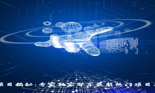 区块链项目揭秘：专家独家分享最新热门项目及其秘诀