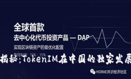 专家揭秘：TokenIM在中国的独家发展秘诀
