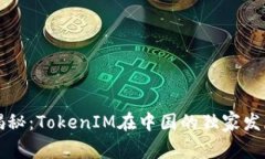 专家揭秘：TokenIM在中国的