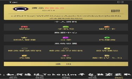 专家揭秘：如何通过Tokenim平台独家获取收入秘诀