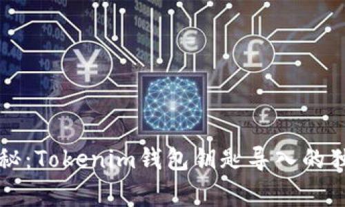 专家揭秘：Tokenim钱包钥匙导入的独家秘诀