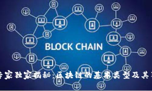 区块链专家独家揭秘：区块链的基本类型及其独特秘诀