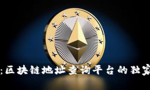 专家揭秘：区块链地址查询平台的独家分类秘诀