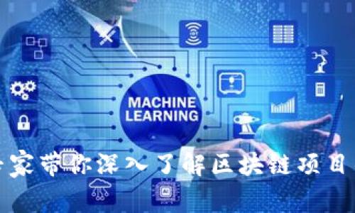 独家揭秘：专家带你深入了解区块链项目的五大类型！