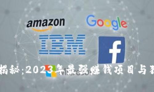 区块链专家揭秘：2023年最强赚钱项目与独家推广秘诀