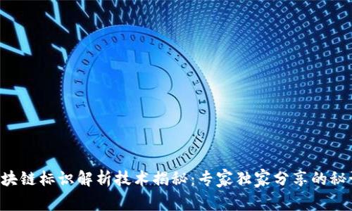 区块链标识解析技术揭秘：专家独家分享的秘诀！