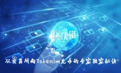 从交易所向Tokenim充币的专
