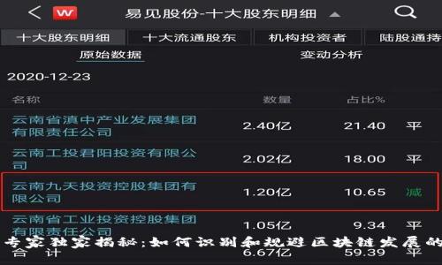 区块链专家独家揭秘：如何识别和规避区块链发展的风险点