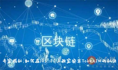 专家揭秘：如何在iOS 11上独家安装TokenIM的秘诀
