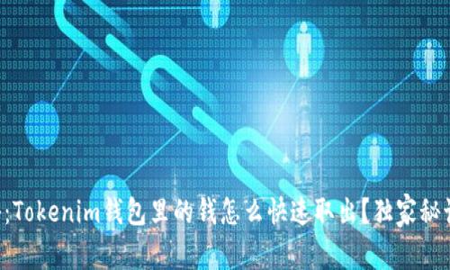 专家揭秘：Tokenim钱包里的钱怎么快速取出？独家秘诀大分享！