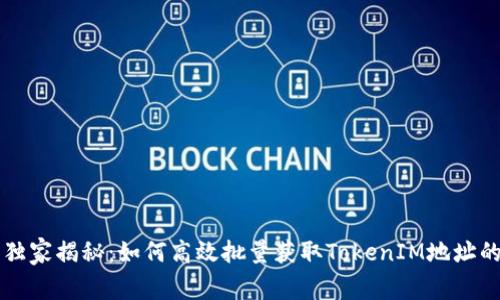 专家独家揭秘：如何高效批量获取TokenIM地址的秘诀