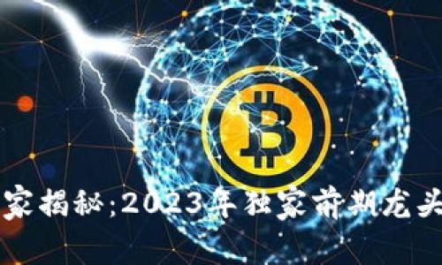 区块链专家揭秘：2023年独家前期龙头股票秘诀
