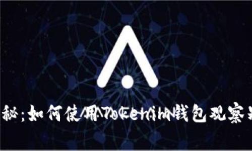 专家独家揭秘：如何使用Tokenim钱包观察别人的钱包？