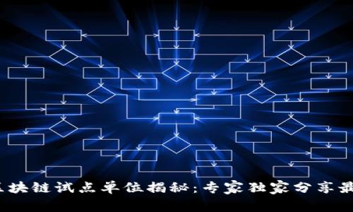 2023年区块链试点单位揭秘：专家独家分享最前沿秘诀