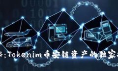专家揭秘：Tokenim币安链资