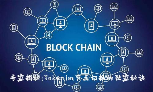 专家揭秘：Tokenim节点切换的独家秘诀