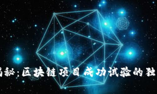 专家揭秘：区块链项目成功试验的独家秘诀