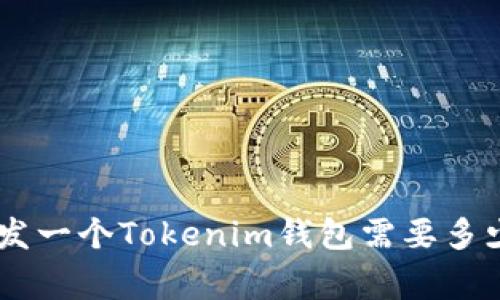 2023年独家揭秘：开发一个Tokenim钱包需要多少钱？专家分析与门道