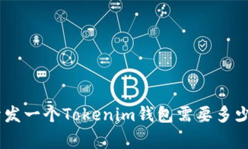 2023年独家揭秘：开发一个Tokenim钱包需要多少钱？专家分析与门道