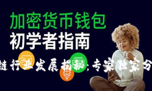 韩国区块链行业发展揭秘：专家独家分享的秘诀!