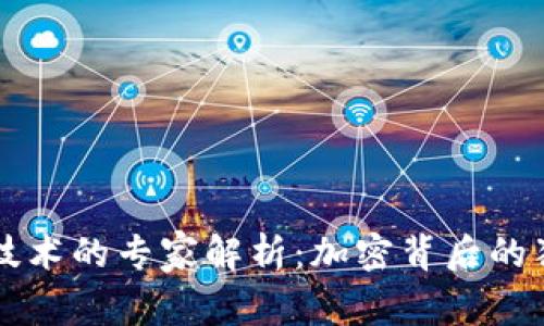 区块链技术的专家解析：加密背后的独家秘诀