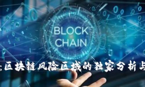 专家揭秘：区块链风险区域的独家分析与控制秘诀
