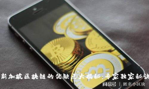 新加坡区块链的优缺点大揭秘：专家独家秘诀