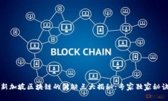 新加坡区块链的优缺点大