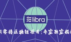 2023年最新零撸区块链项目