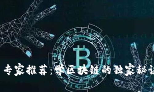 2023年最新专家推荐：学区块链的独家秘诀课程大汇总