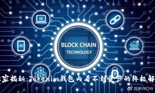 专家独家揭秘：Tokenim钱包内看不到资产的终极解决秘诀