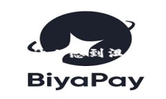 看来你在使用Tokenim进行