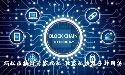 蚂蚁区块链专家揭秘：独家秘诀及多种用法