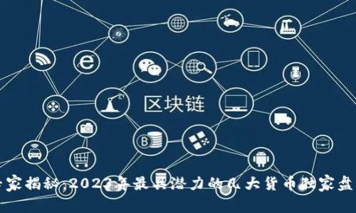 区块链市场专家揭秘：2023年最具潜力的几大货币独家盘点与投资秘诀